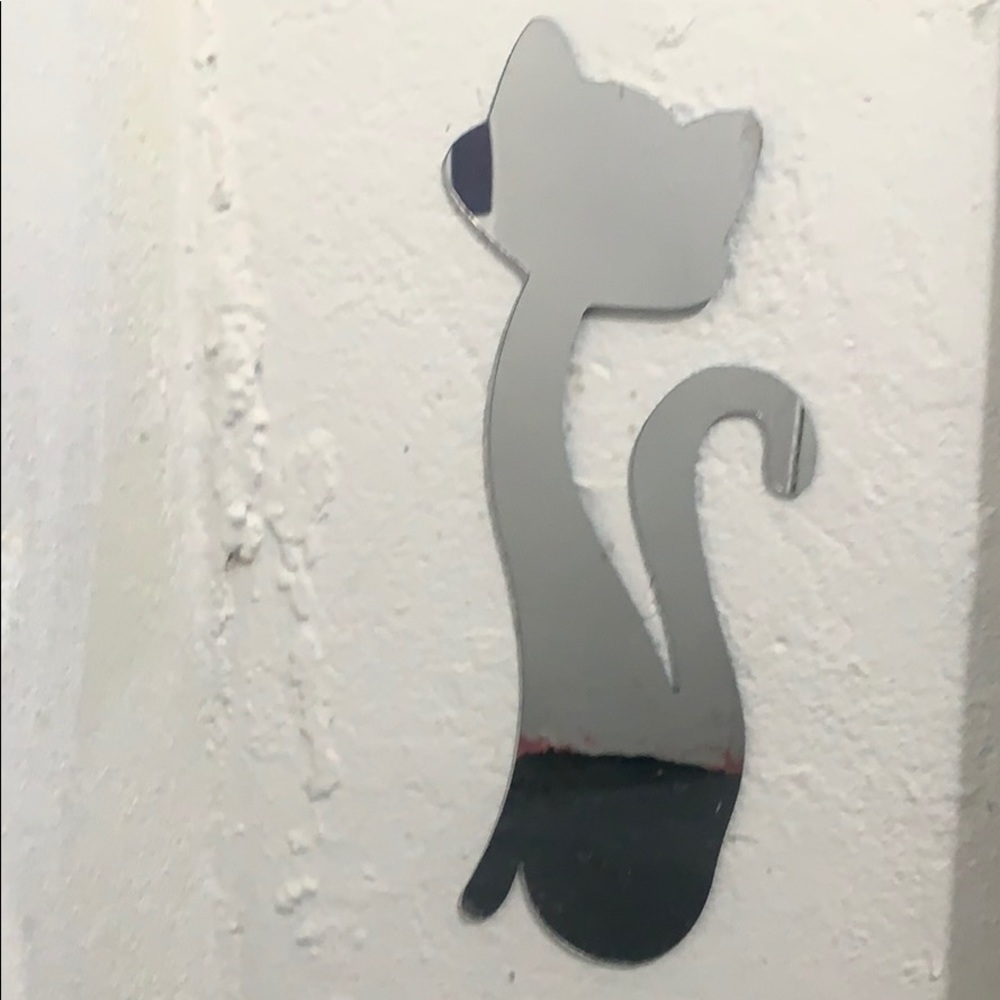 Plastic Mirror Cat.
